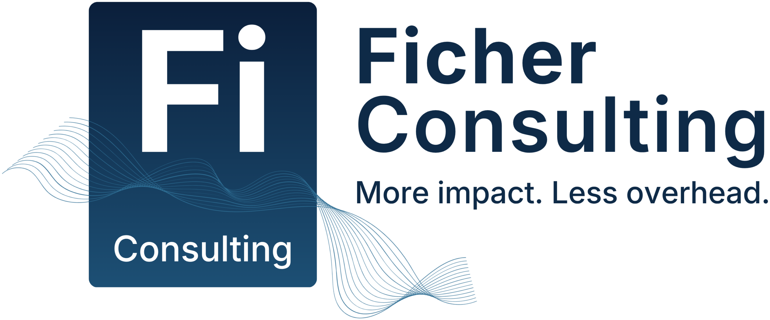 Ficher Consulting